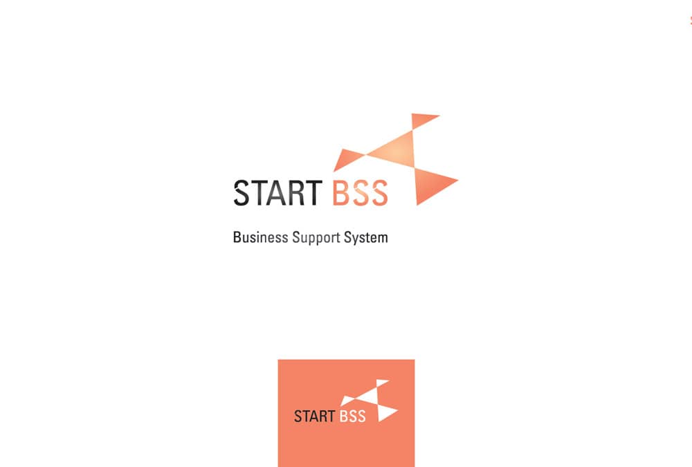 Start BSS